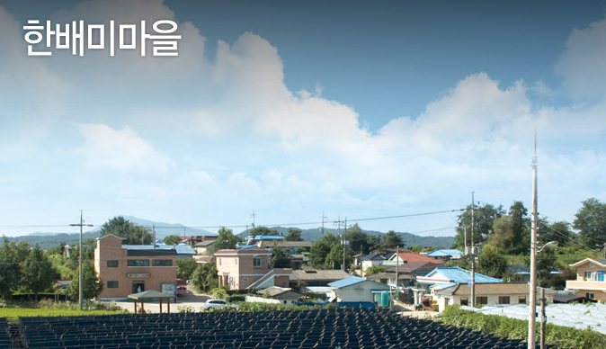 한배미마을 전경